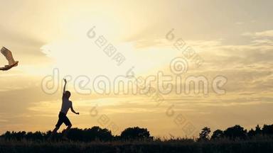 日落时分一个男孩带着风筝在田野上<strong>奔跑的</strong>剪影